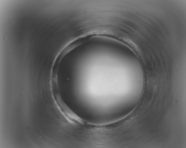 X0000069810894200605261745