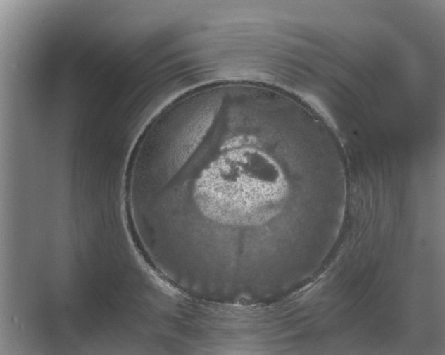 X0000069810895200605261745