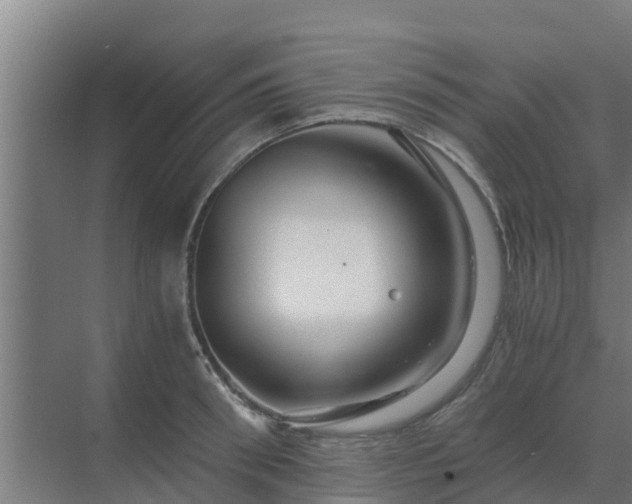 X0000069810898200605261745