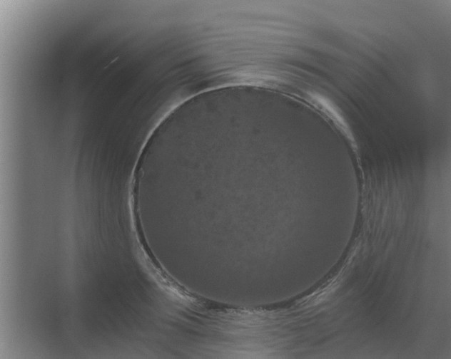 X0000069810899200605261745