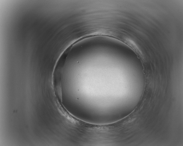 X0000069810900200605261745