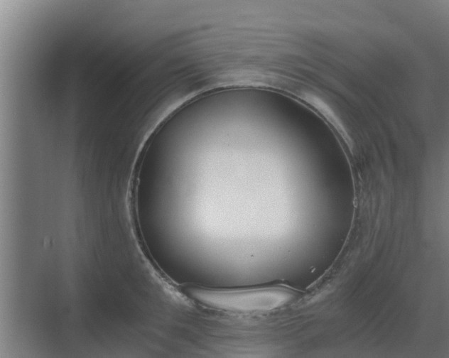 X0000069810901200605261745