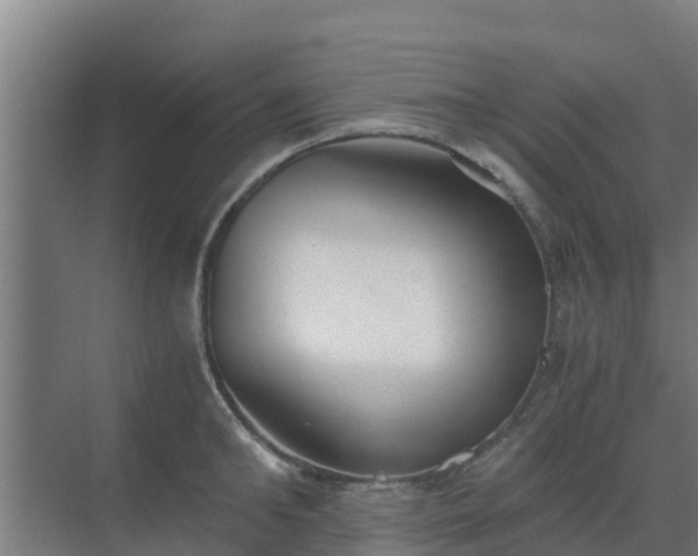 X0000069810902200605261745