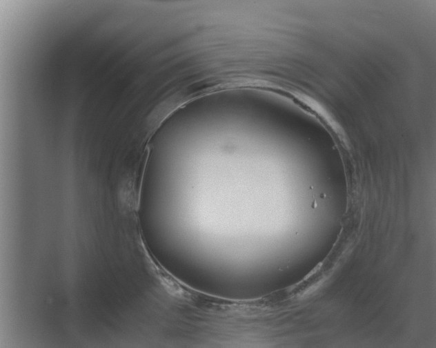 X0000069810905200605261745