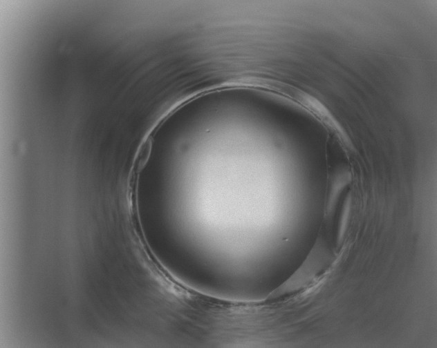 X0000069810908200605261745