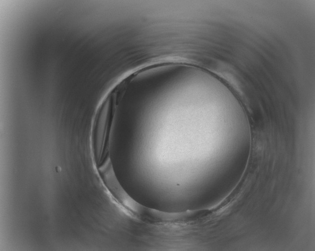 X0000069810910200605261745