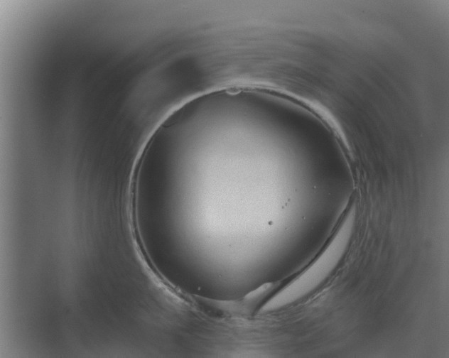 X0000069810911200605261745