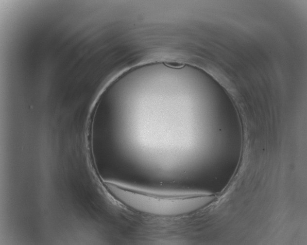 X0000069810912200605261745