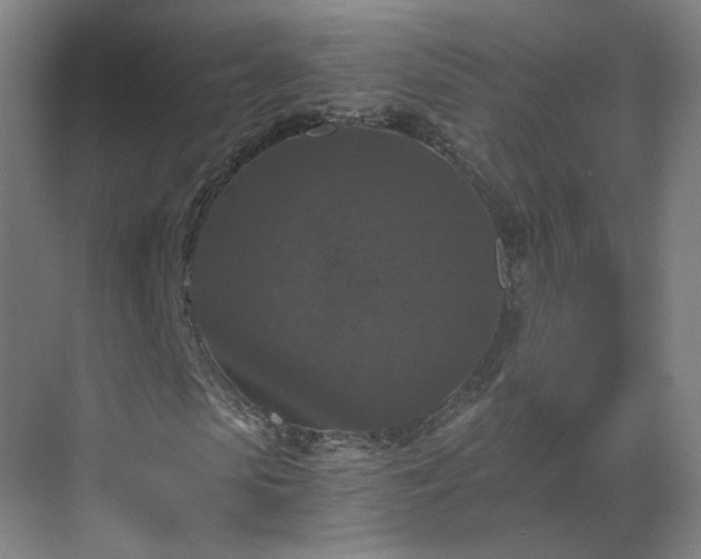 X0000069810913200605261744