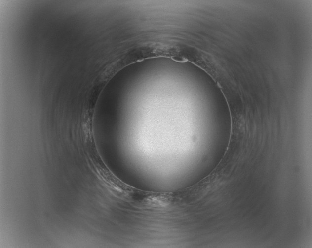 X0000069810914200605261744