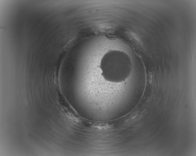 X0000069810915200605261744