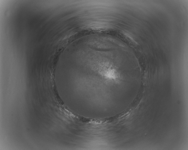 X0000069810917200605261744