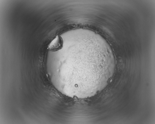 X0000069810918200605261744