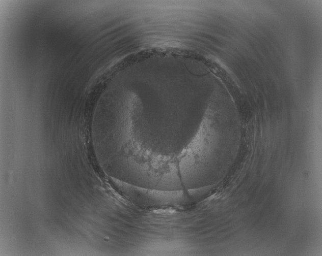 X0000069810919200605261744