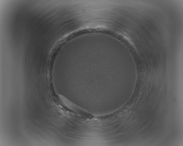 X0000069810920200605261744