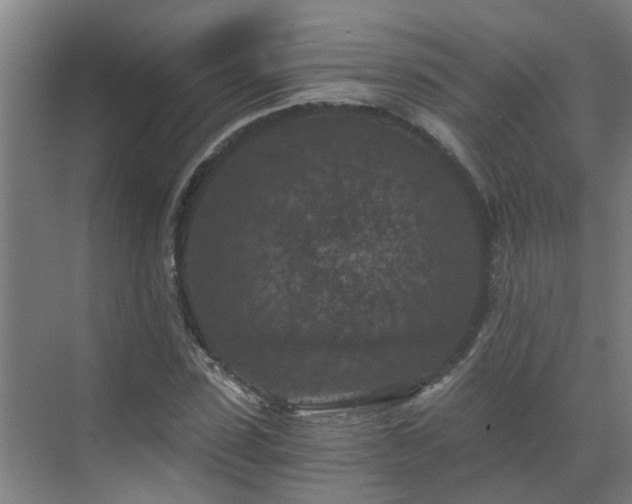 X0000069810923200605261744