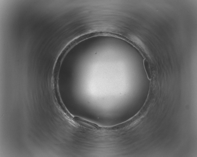 X0000069810924200605261744