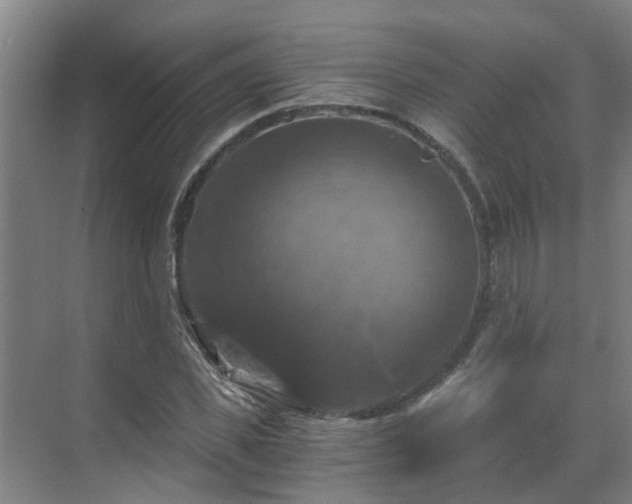 X0000069810925200605261744