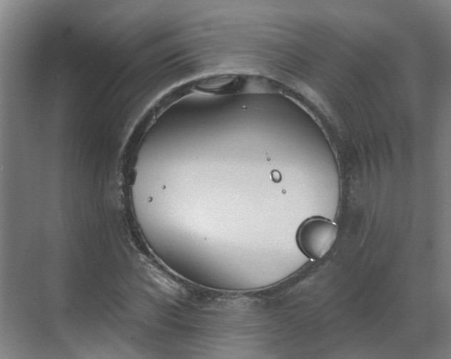 X0000069810926200605261745