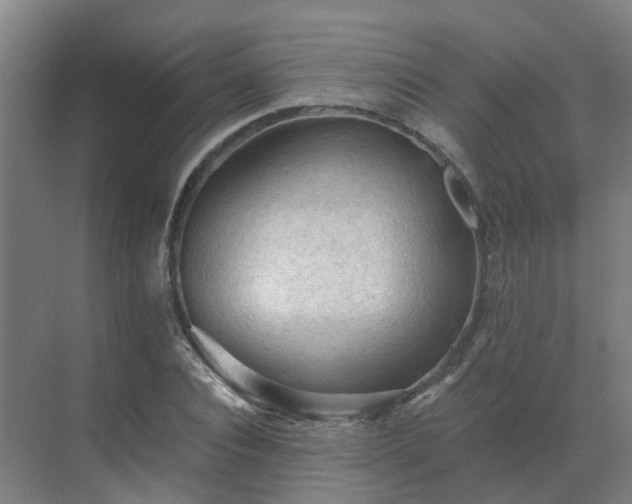 X0000069810928200605261745