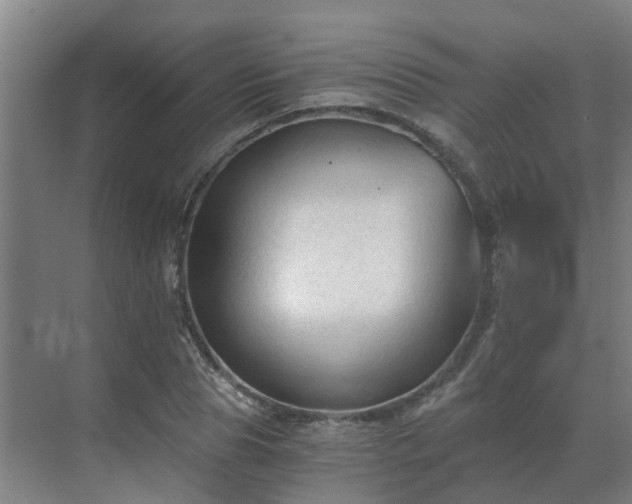 X0000069810929200605261745