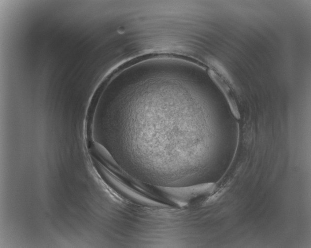 X0000069810932200605261745