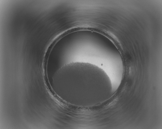 X0000069810935200605261745