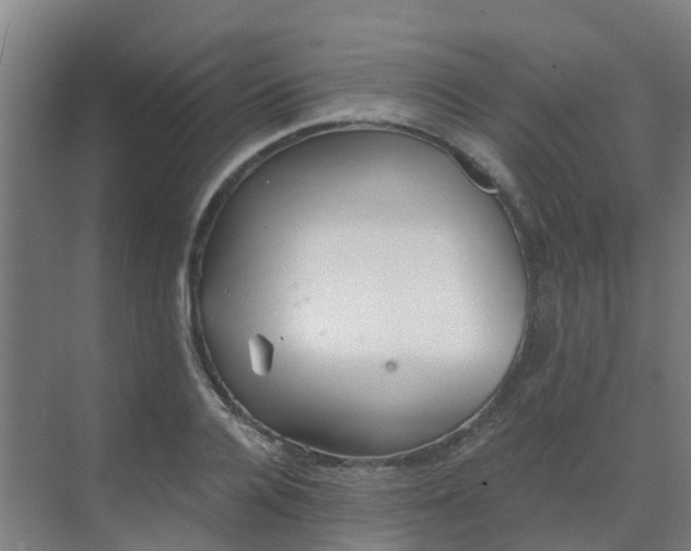 X0000069810936200605261745