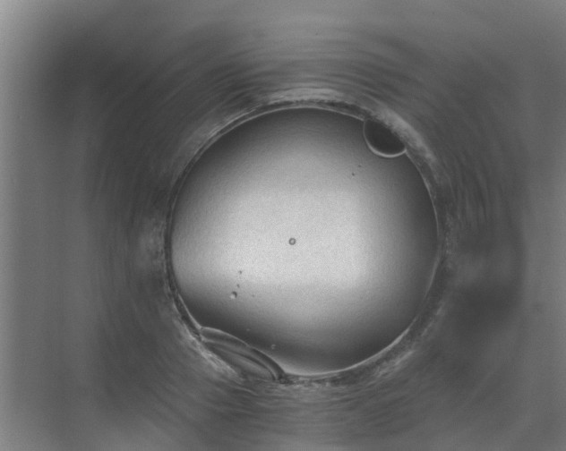 X0000069810937200605261745