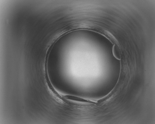 X0000069810938200605261745