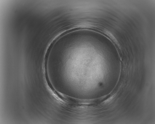 X0000069810939200605261745