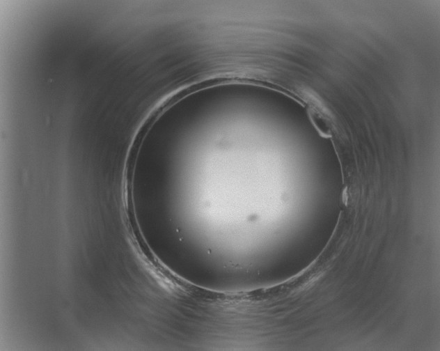 X0000069810940200605261745