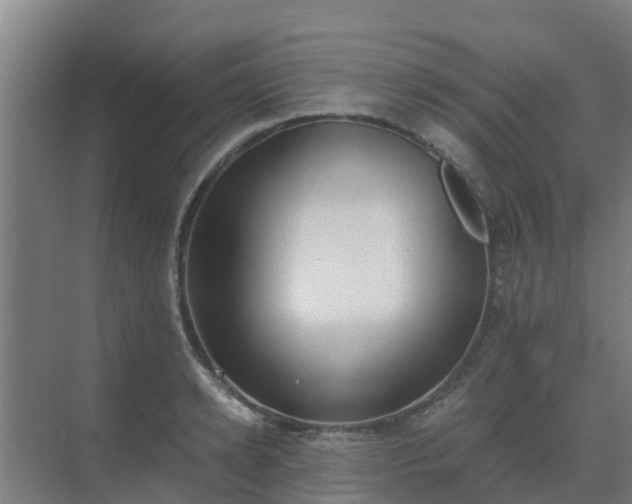 X0000069810942200605261745