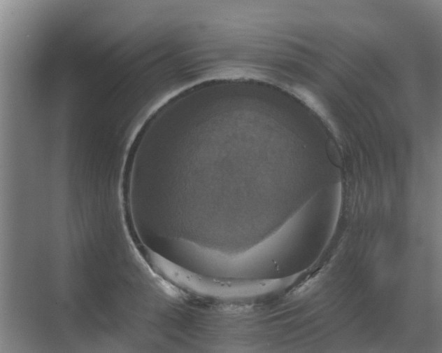 X0000069810943200605261745