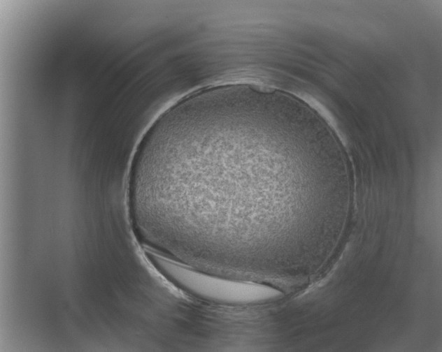 X0000069810949200605261745