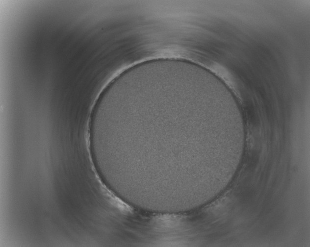 X0000069810950200605261745