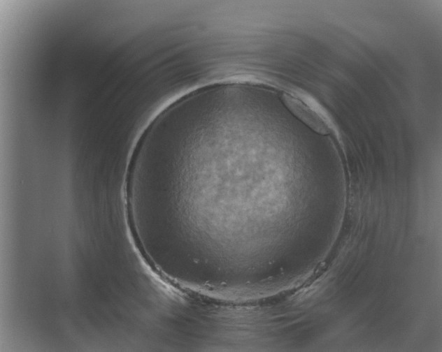 X0000069810951200605261745