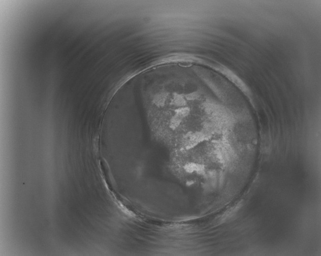 X0000069810953200605261745