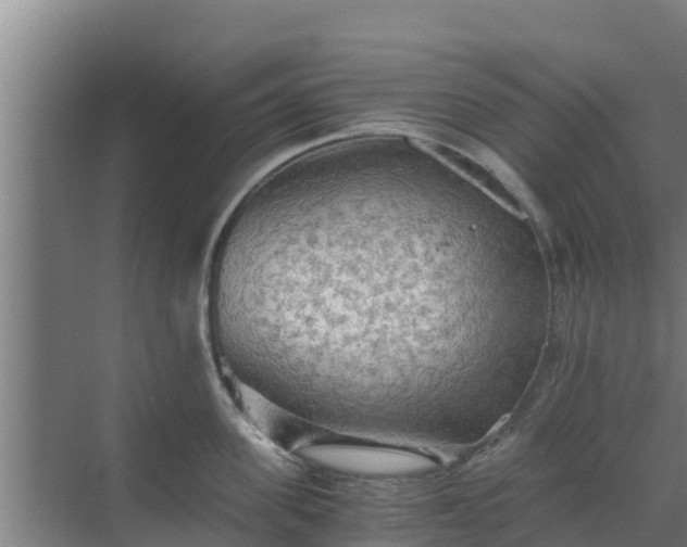 X0000069810955200605261745