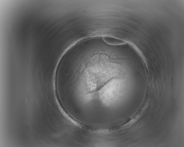 X0000069810957200605261745