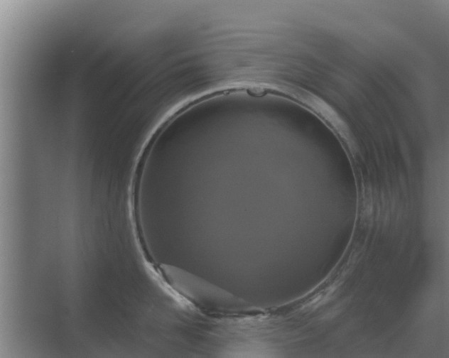 X0000069810958200605261745