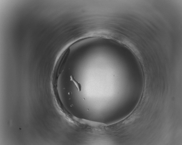 X0000069810960200605261745