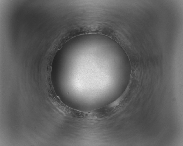 X0000069810961200605261744