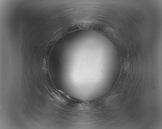 X0000069810964200605261744