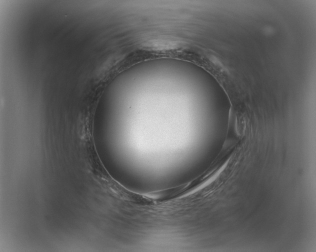 X0000069810965200605261744