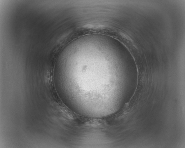 X0000069810966200605261744