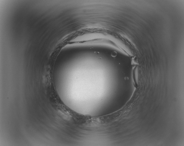 X0000069810968200605261744