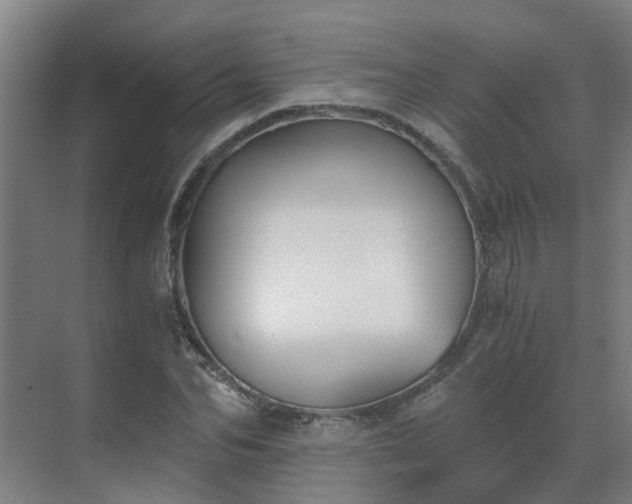 X0000069810974200605261744