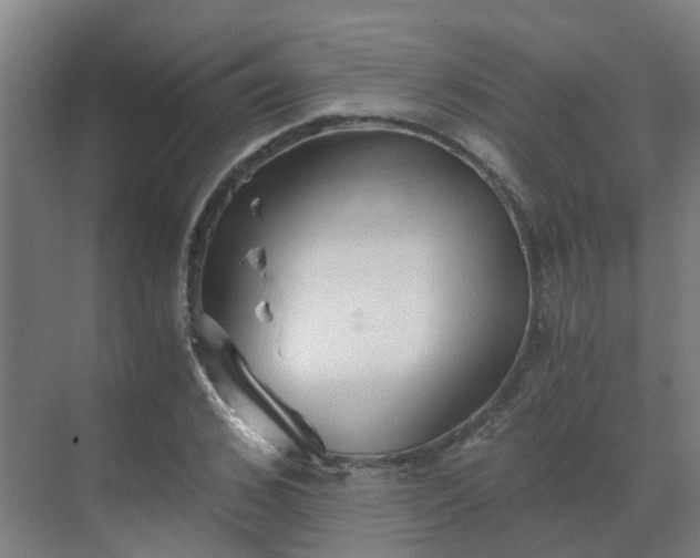 X0000069810976200605261744