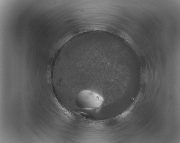 X0000069810977200605261744